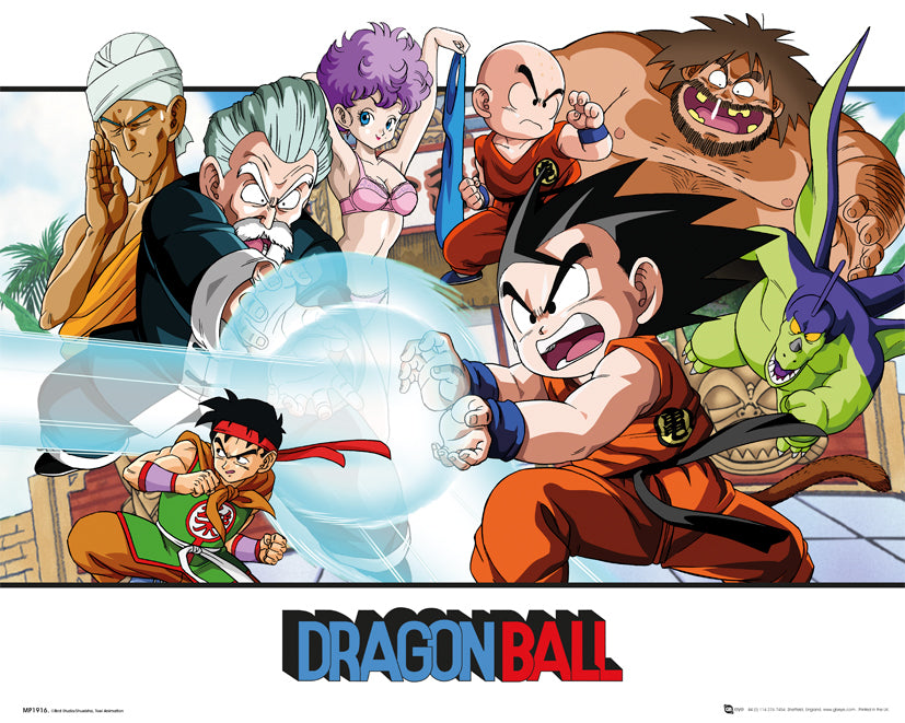 Dragon Ball Z Landscape 40x50cm Mini Poster