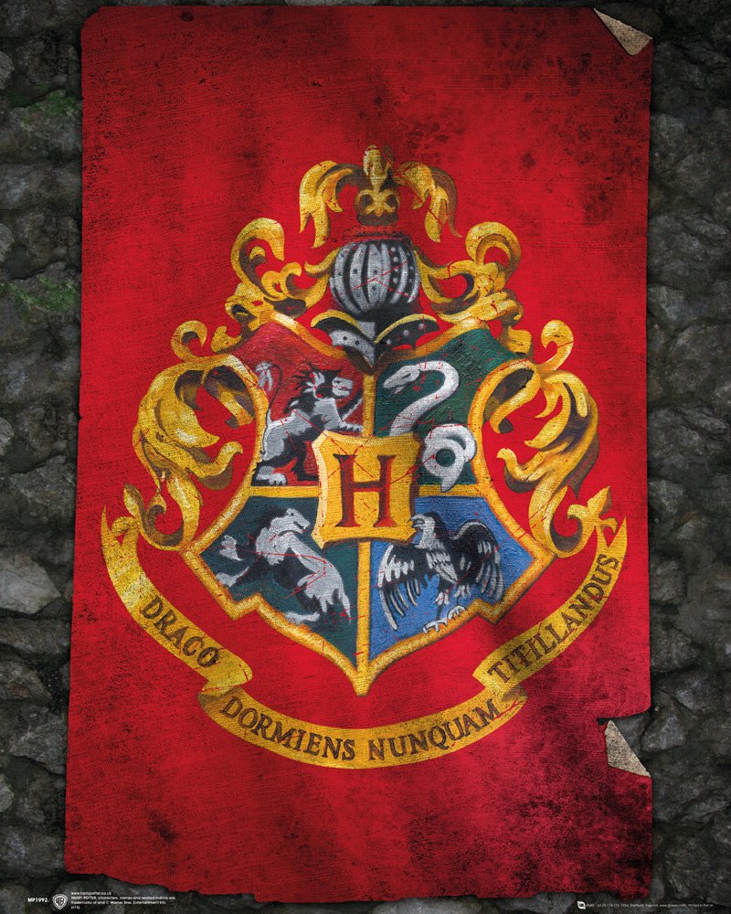 Harry Potter Hogwarts Flag 40x50cm Mini Poster
