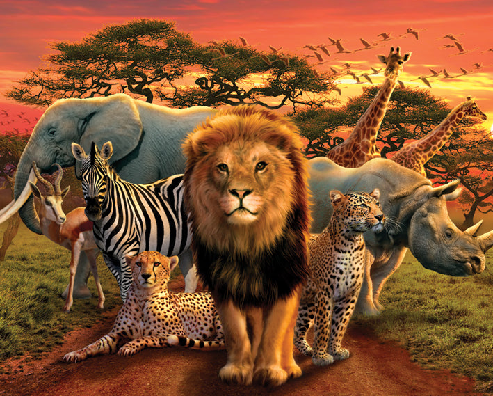 African Kingdom Animal Montage 40x50cm Mini Poster