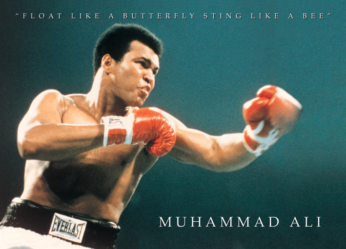 Muhammad Ali Float Like A Butterfly Rare Vintage Maxi Poster Blockmount