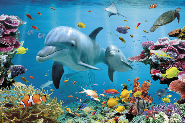Tropical Underwater Wildlife Maxi Poster