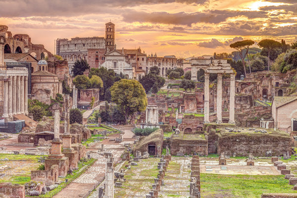 The Roman Forum In Rome Italy Maxi Poster