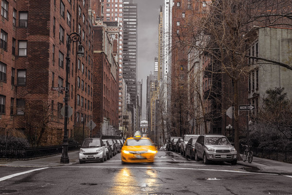 New York City Taxi Colour Maxi Poster