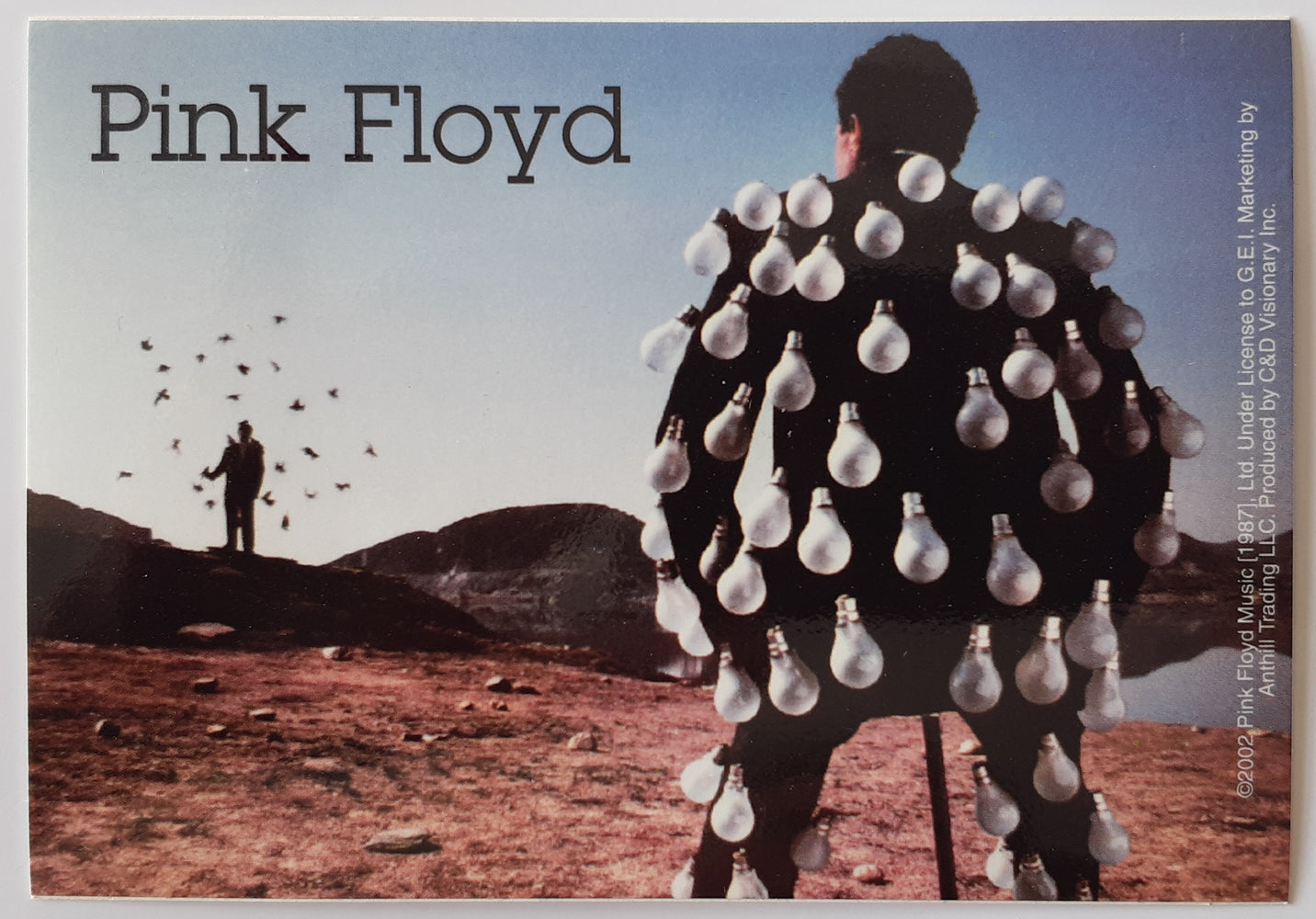 Pink Floyd Delicate Sound Of Thunder Large Vinyl Sticker