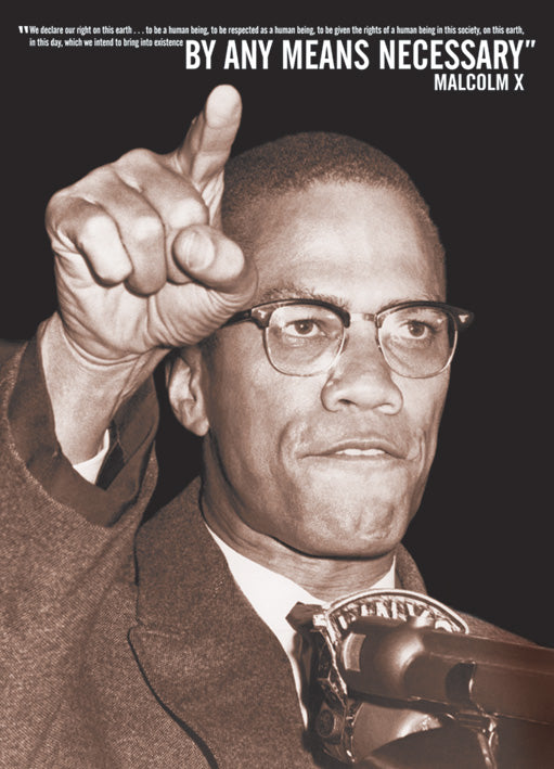 Malcolm X By Any Means Necessary Inspirational Quote Maxi Poster