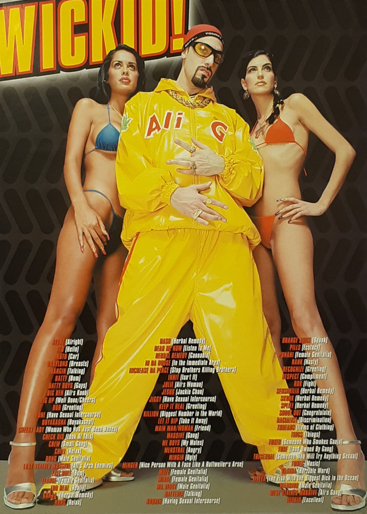 Ali G Sacha Baron Cohen Street Language Vintage Maxi Poster