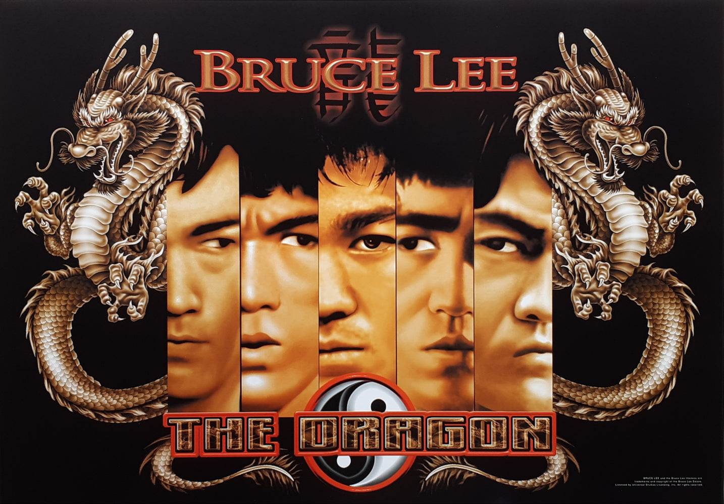 Bruce Lee Mirrors The Dragon Maxi Poster