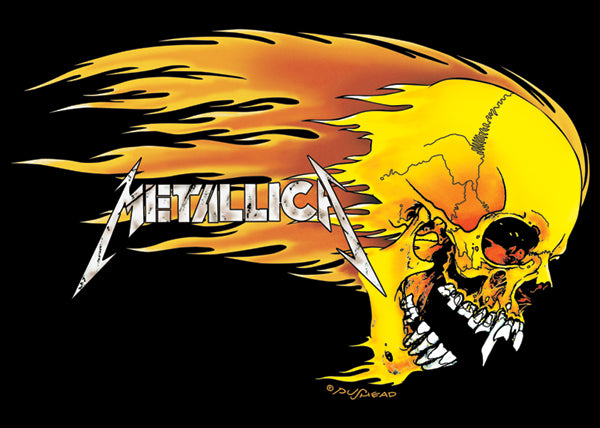 Metallica Skull And Flames Maxi Poster