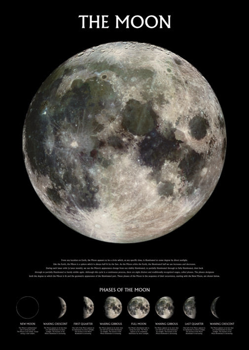 The Moon Phases Maxi Poster