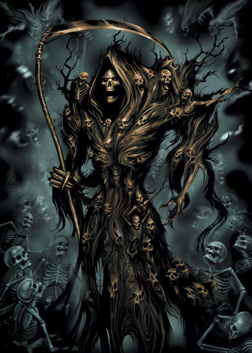 Spiral Soul Reaper Fantasy Maxi Poster