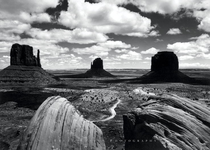 Desert Plateau Arizona Vintage Maxi Poster