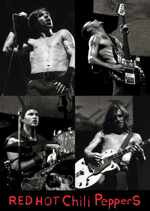 Red Hot Chili Peppers 4 Live Pics Maxi Poster