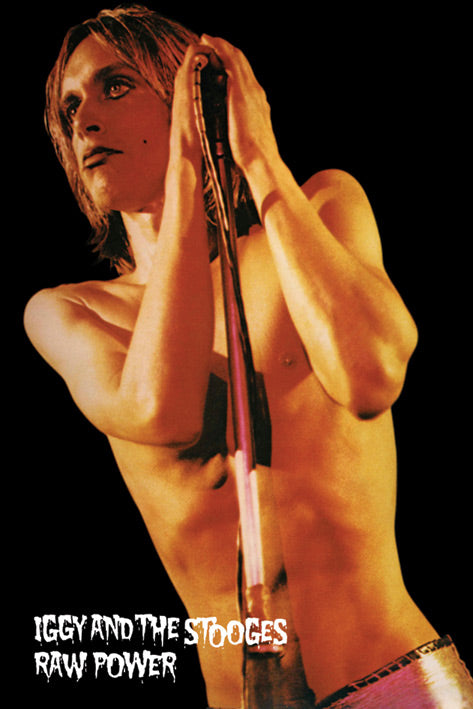 Iggy And The Stooges Raw Power Maxi Poster Blockmount
