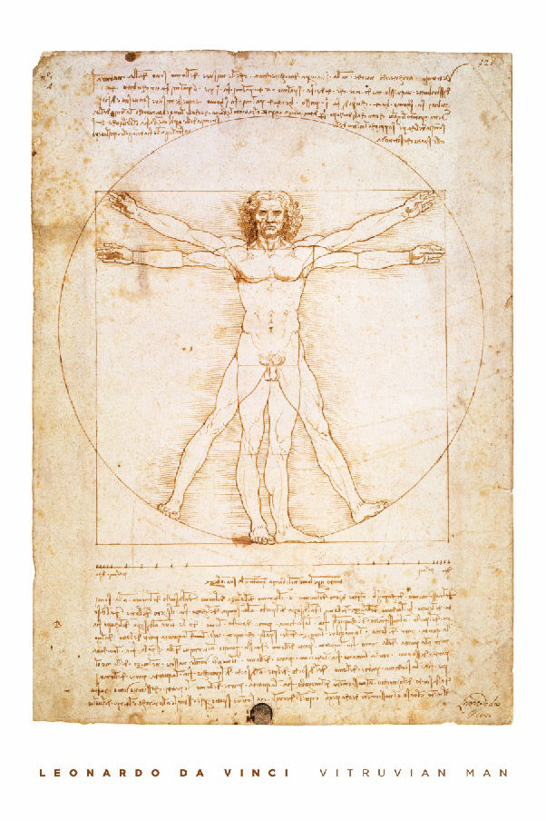 Leonardo da Vinci Vitruvian Man Maxi Poster
