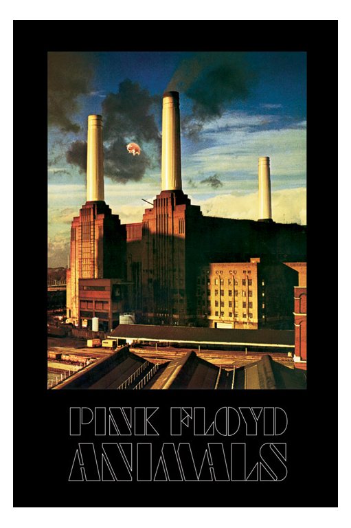 Pink Floyd Animals Portrait Maxi Poster