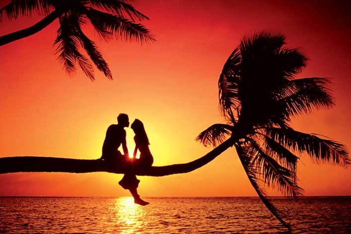 Summer Love Couple On Palm Tree Branch Maxi Poster