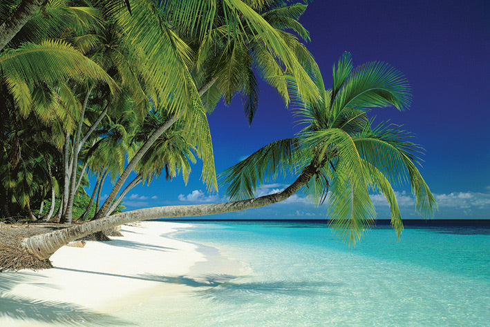 Maldives Beach Scene Maxi Poster