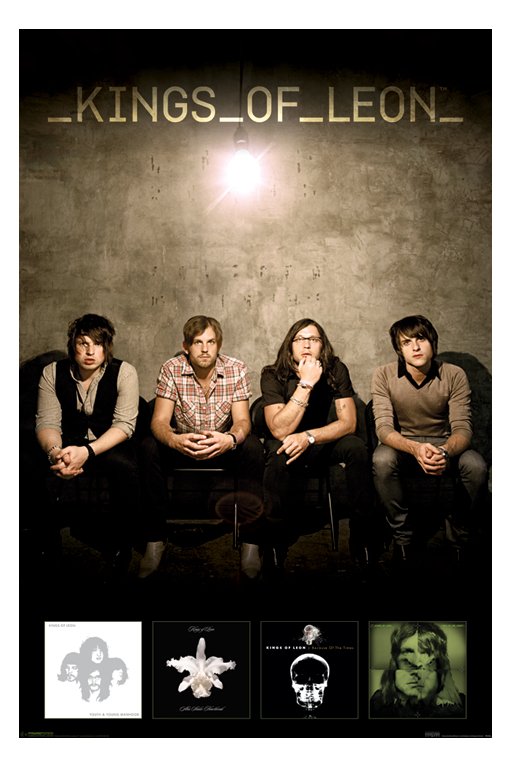 Kings Of Leon Albums Poster
