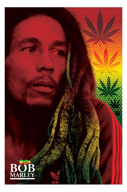 Bob Marley Dreads Maxi Poster