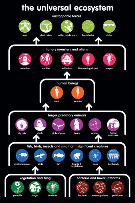 The Universal Ecosystem Chart Humourous Maxi Poster