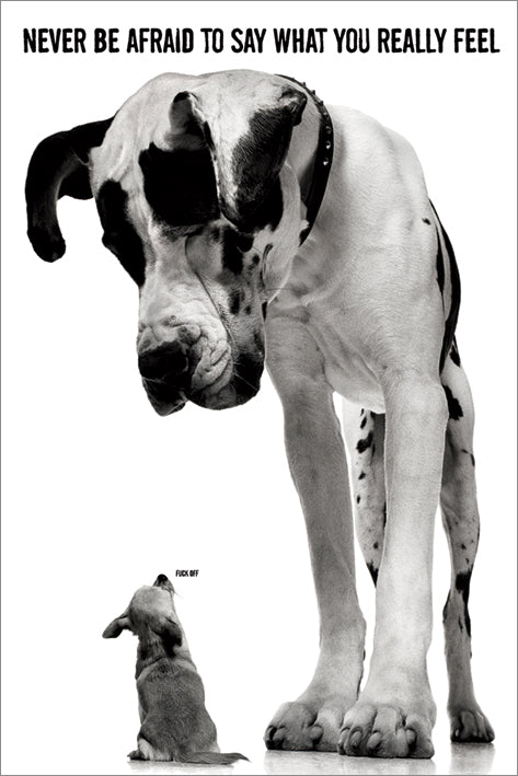 Never Be Afraid To Say What You Really Feel Dogs Maxi Poster