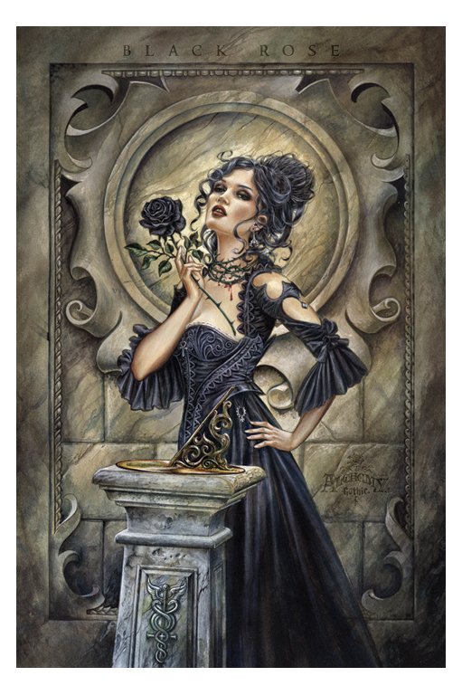 Alchemy Black Rose Fantasy Maxi Poster