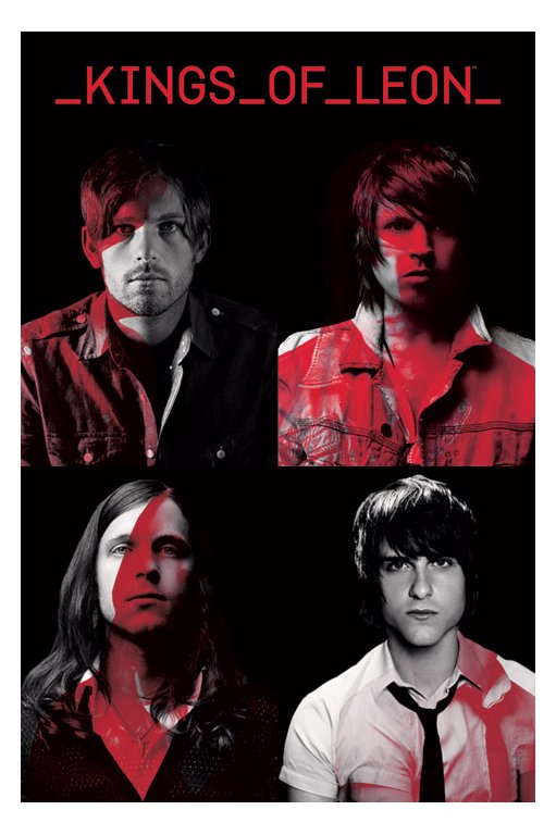 Kings Of Leon Portraits Poster
