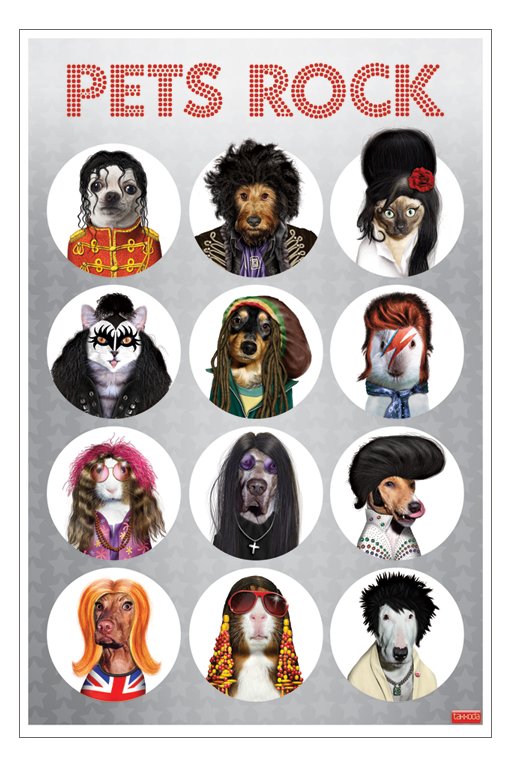 Pets Rock Animals As Rock Stars Maxi Poster