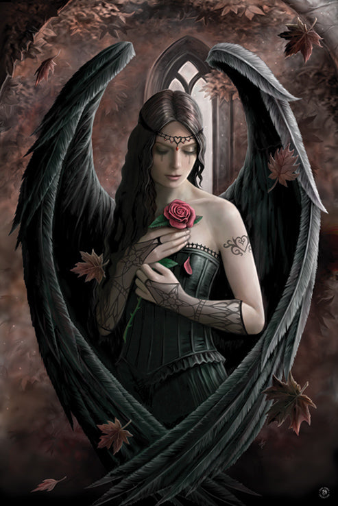 Anne Stokes Angel Rose Maxi Poster