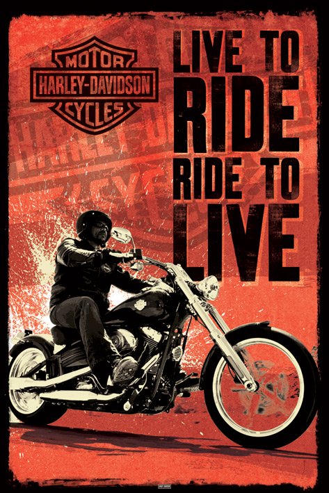 Harley-Davidson Motor Cycles Live To Ride Maxi Poster