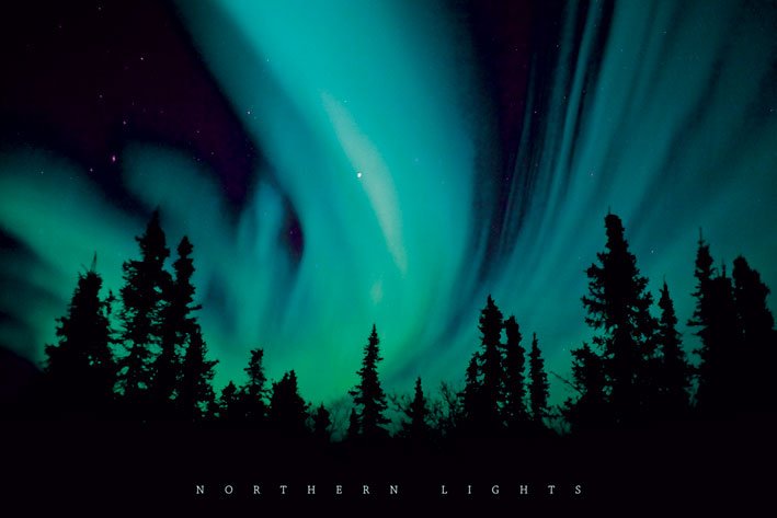 Northern Lights Over Trees Colour Maxi Poster