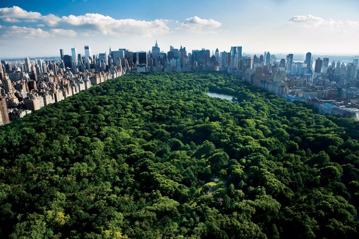 Central Park New York Panoramic Aerial Photo Maxi Poster