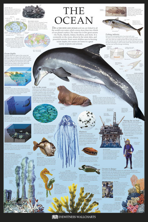 The Ocean by Dorling Kindersley Maxi Poster