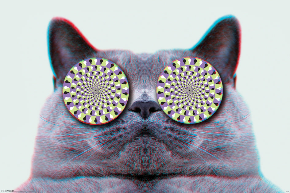 Cats Eyes Optical Illusion Maxi Poster