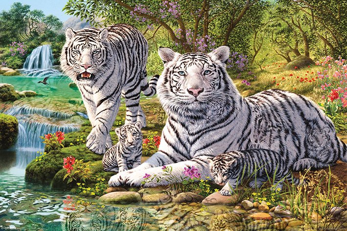 White Tiger Clan Hidden Images Maxi Poster