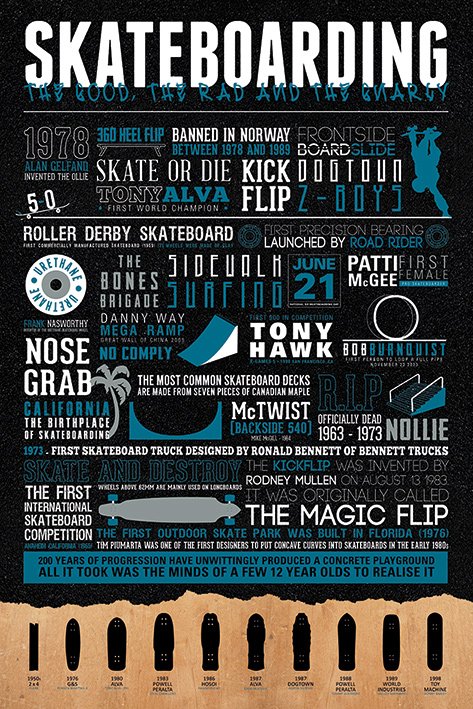 Skateboarding Infographic Maxi Poster