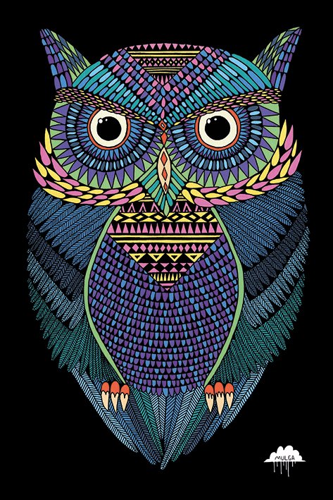 Mulga Michael The Magical Owl Maxi Poster