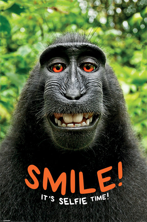 Smile! It's Selfie Time! Humourous Maxi Poster