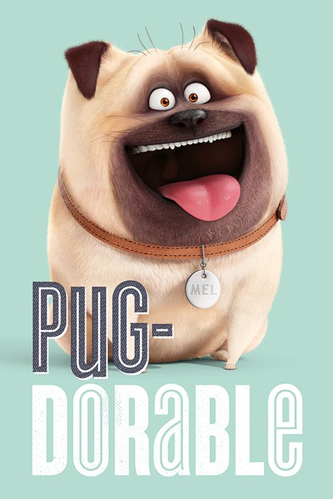 Secret Life Of Pets Pug-Dorable Maxi Poster