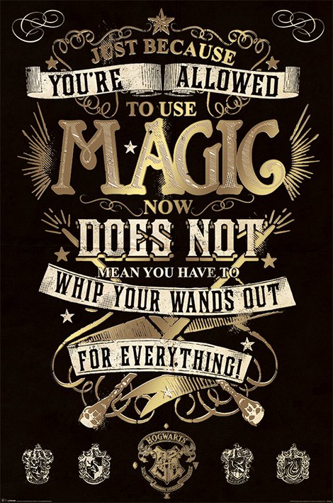 Harry Potter Magic Maxi Poster