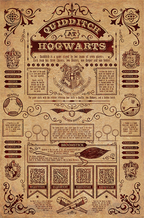 Harry Potter Quidditch At Hogwarts Maxi Poster