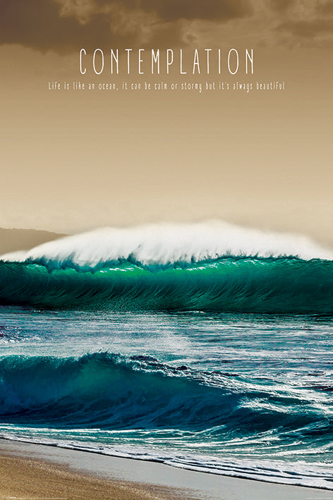 Contemplation With Quote Maxi Poster