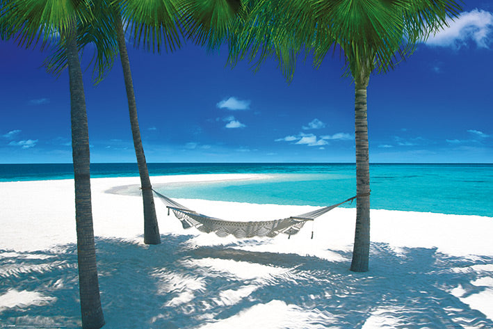 Hammock In Tropical Paradise Maxi Poster