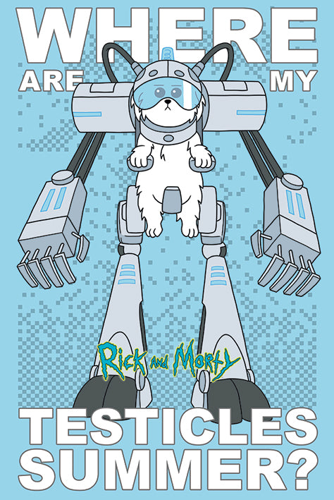 Rick and Morty Where Are My Testicles Summer Maxi Poster