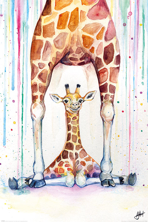 Marc Allante Gorgeous Giraffes Maxi Poster