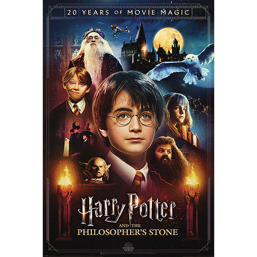 Harry Potter 20 Years Of Movie Magic Maxi Poster