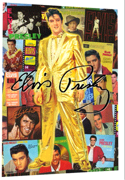 Elvis Presley Albums Montage Large 3D Lenticular Poster