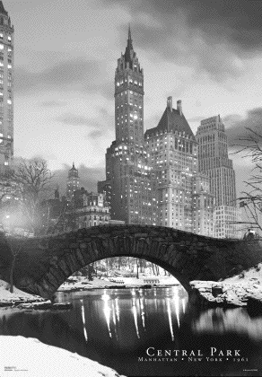 Central Park New York 1961 Large 3D Lenticular Poster