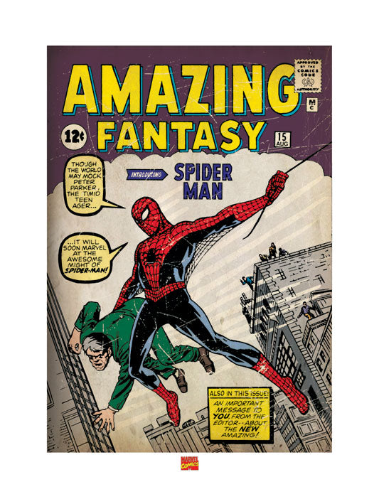 Spider-Man Issue 1 Comic Cover 60x80cm Art Print