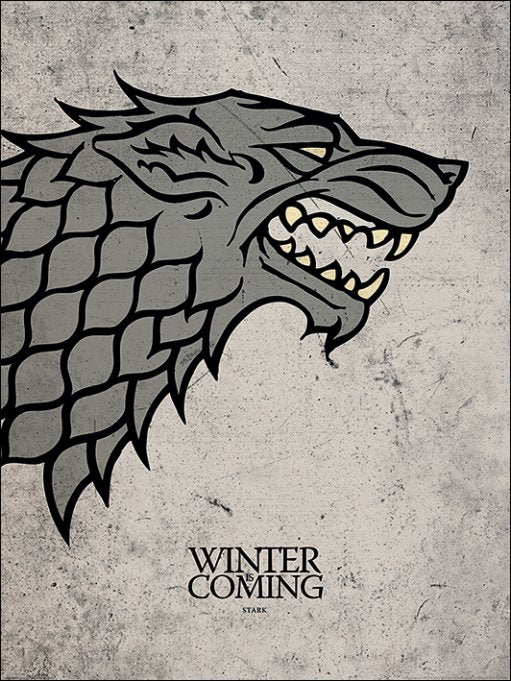 Game Of Thrones Stark Winter Is Coming 60x80cm Art Print